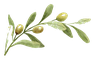 Olio FamigliAlagna